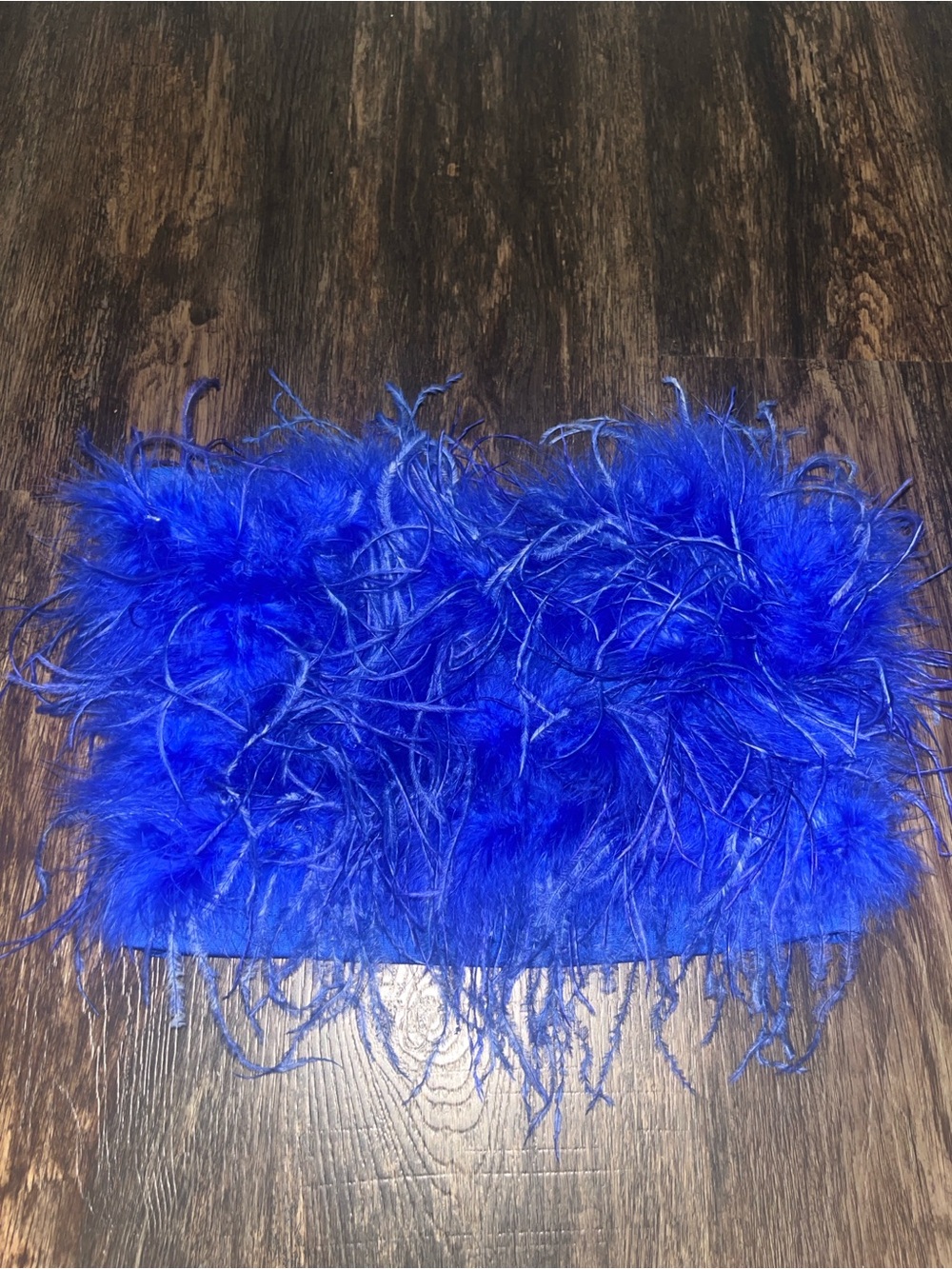 Vibrant Royal Blue Feather Cropped Tube Top
